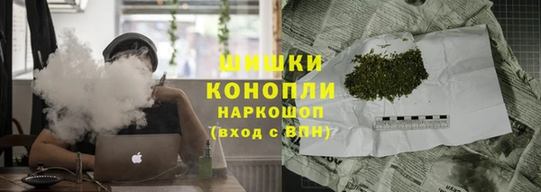 дурь Инсар