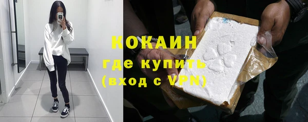 дурь Инсар