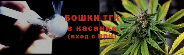 мяу мяу мука Инта