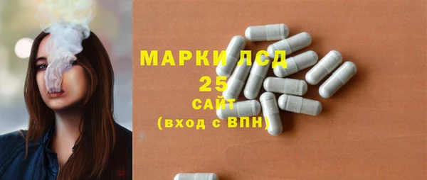 мяу мяу мука Инта