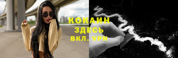 мяу мяу мука Инта