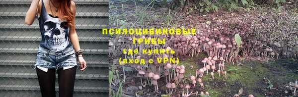 мяу мяу мука Инта