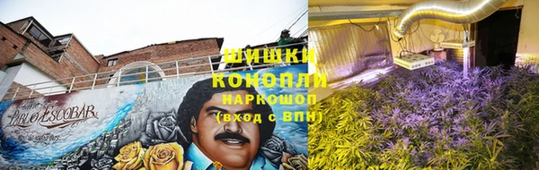 дурь Инсар