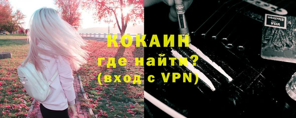 дурь Инсар