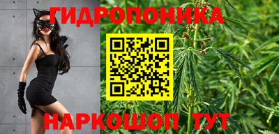 прущий лед Кингисепп