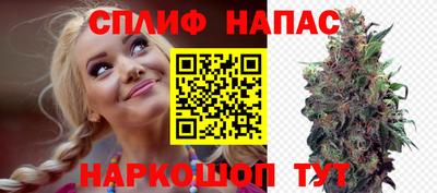 mdpv Кимры