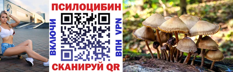 Галлюциногенные грибы GOLDEN TEACHER  Камышлов 