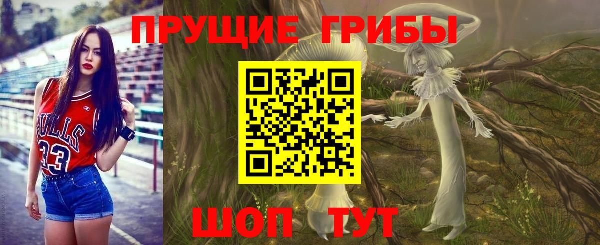 Псилоцибиновые грибы мицелий Камышлов
