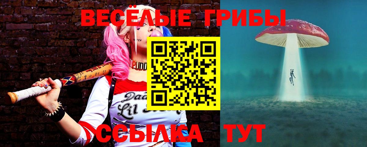 Галлюциногенные грибы MAGIC MUSHROOMS  Вход с VPN  Камышлов  Галлюциногенные грибы GOLDEN TEACHER 